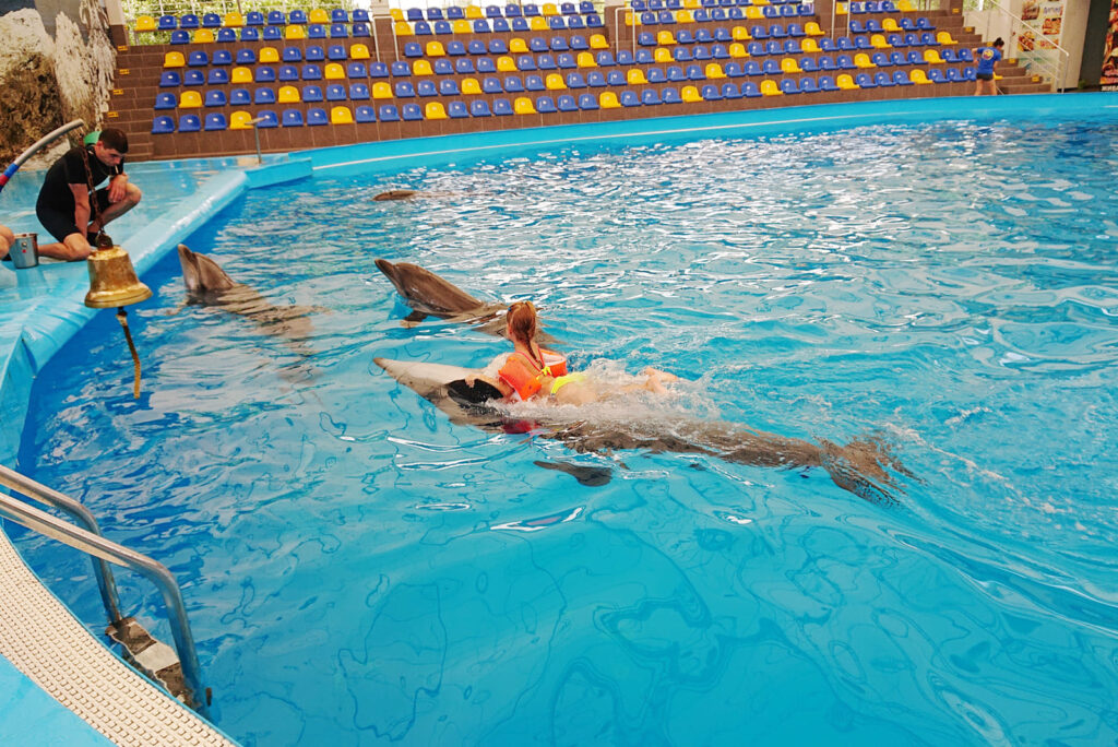 Купание с дельфином в «Немо»